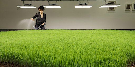 Artist Talk met Diana Scherer | Museum Kranenburgh