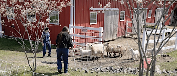 Information Night for Veterinary Club hosted by Scouting Boston | Essex North Shore Agricultural & Technical School