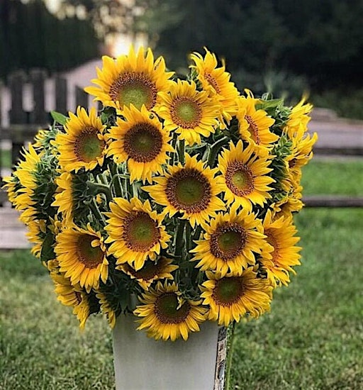 Flower Bouquet Making - Class On Farm | 4830 M-63