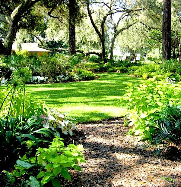 FFLCP Field Module - Become a Florida Friendly Landscaping Professional | This class is at UF/IFAS Extension Auditorium.