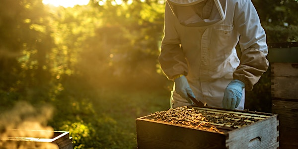 Beekeeping Demonstration | Boconnoc Estate