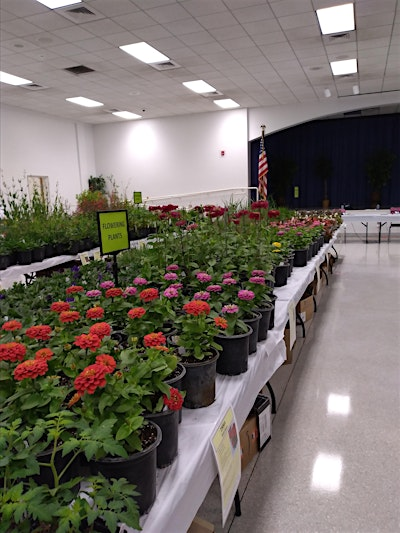 Master Gardener Volunteer Plant Sale PRE SALE | UF IFAS Duval County Extension Office