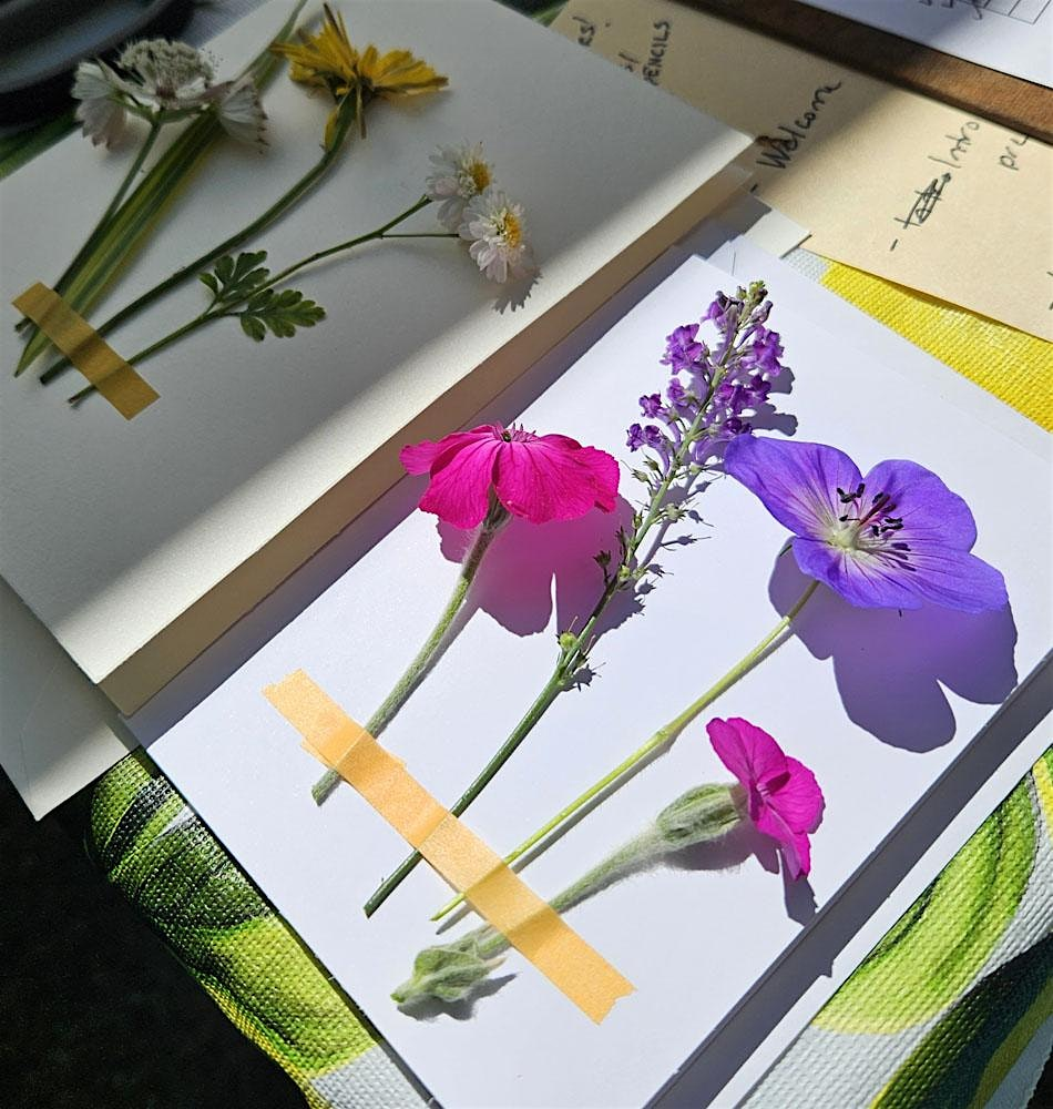 Art in the Garden: PRESSING LEAVES AND FLOWERS (Intergenerational) | Carr House National Historic Site