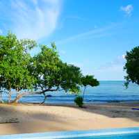 🌴หนีความวุ่นวายแล้วไปติดเกาะ🌴