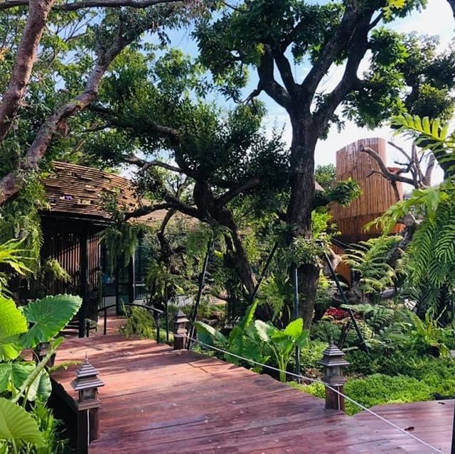 คาเฟ่บ้านสวนปลายตะวัน