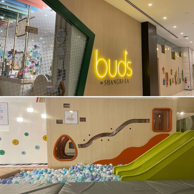 Buds indoor playground