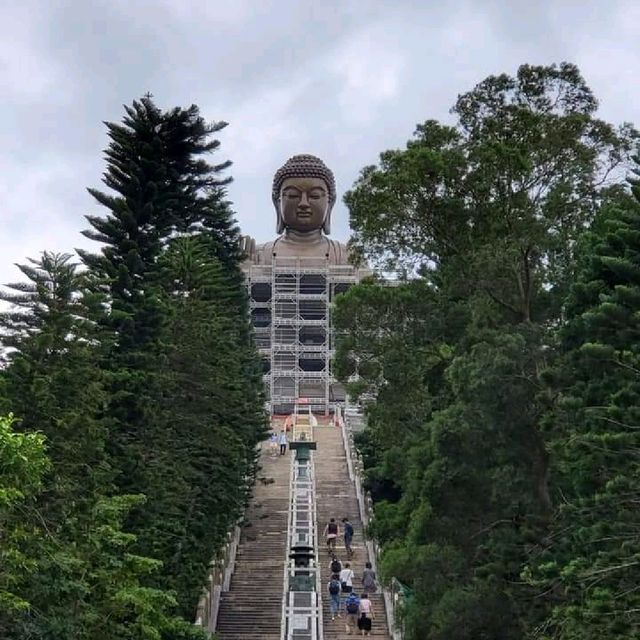 大嶼山輕鬆寫意一日遊