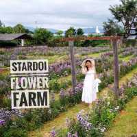 จิบกาแฟ ชมทุ่งดอกไม้ ที่ Stardoi Flower Farm