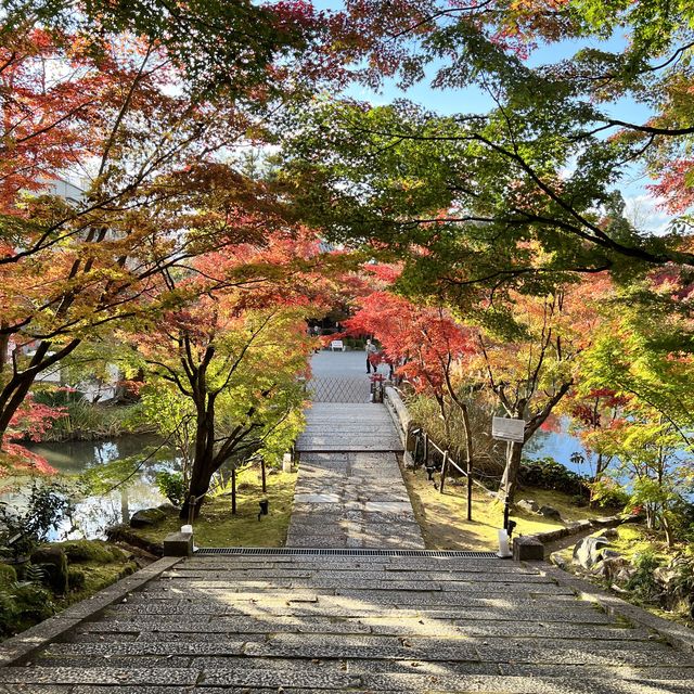 【京都】永観堂の美しい紅葉🍁