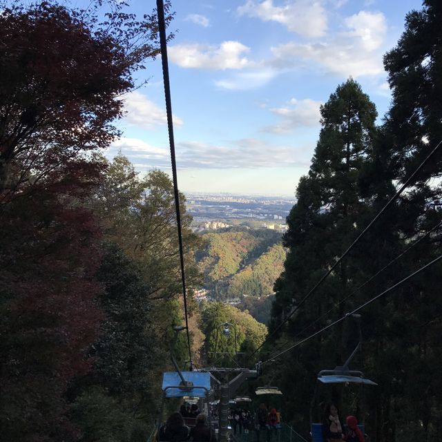 秋は紅葉