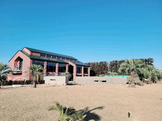 [제주 카페] 한라산뷰! 수영장을 품은 창고형 카페💙