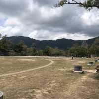  春季市區休息打卡好地方
