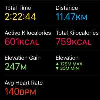 MacRitchie Reservoir and TreeTop Walk! 🌴🍃☀️