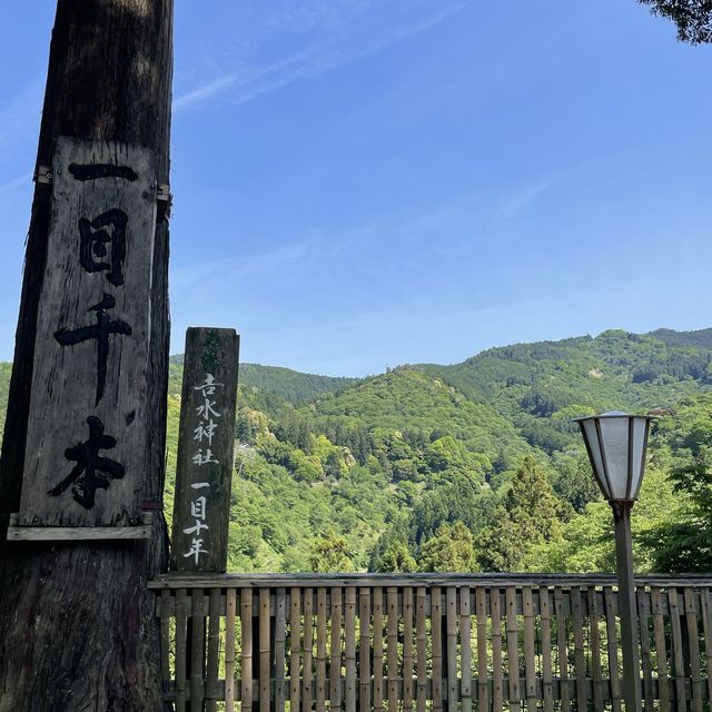 【奈良県】歴史的逸話が残された神社で思いを馳せる旅