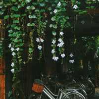🏡บ้านไร่ ไออรุณ🌸🌺🌳