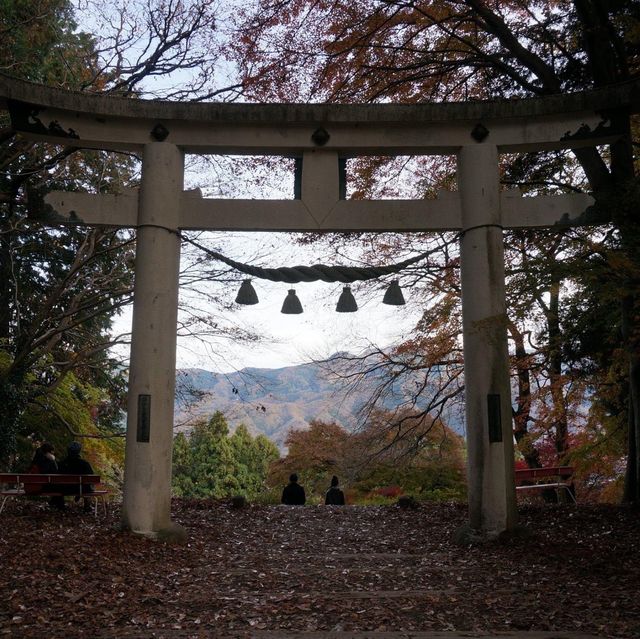 埼玉縣必去景點➡️ 寶登山⛰️⛰️