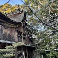 櫻井神社