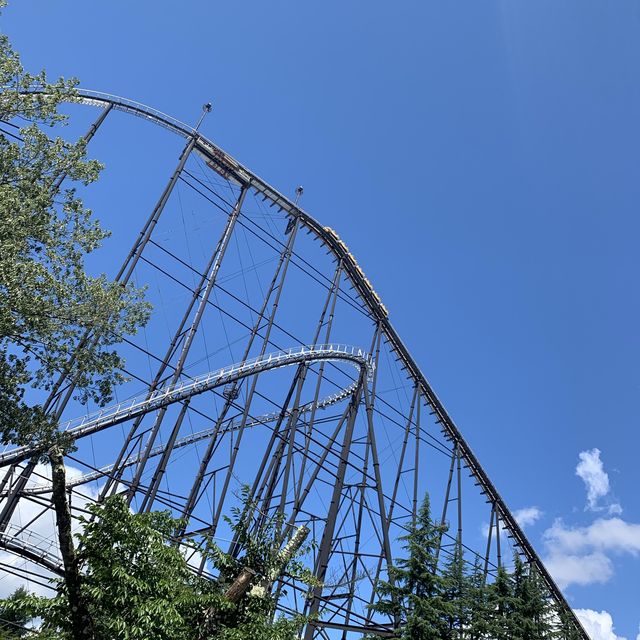関東の絶叫ができるテーマパーク