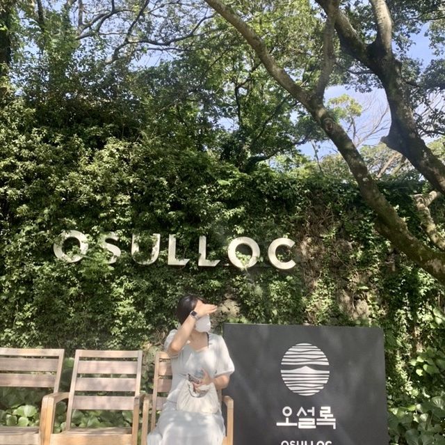 제주_ 오설록 티뮤지엄 