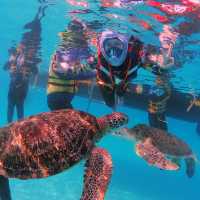 the best island in terengganu- redang island!