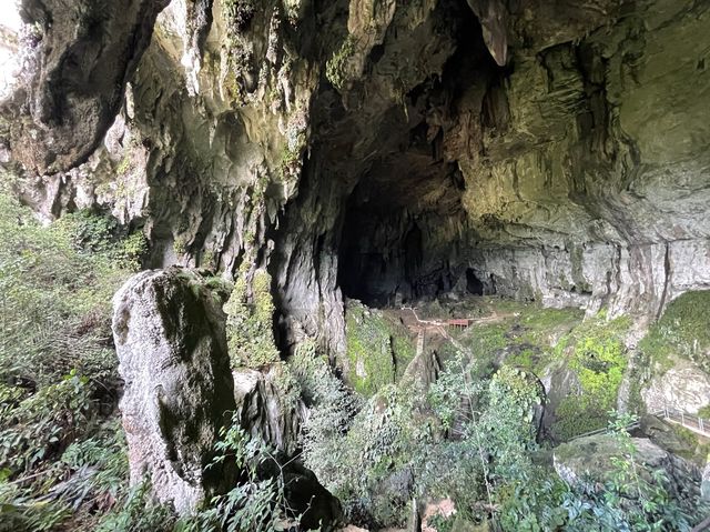 Fairy 🧚‍♀️ Cave 