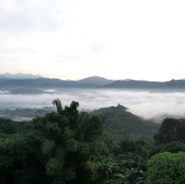 Sea of Clouds Tanay