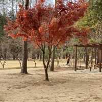 The most beautiful island to visit in autumn