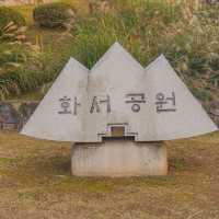 수원에서 즐기는 억새꽃구경
