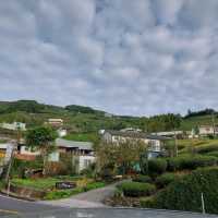 出差的小確幸-阿里山公路