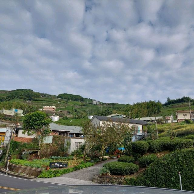 出差的小確幸-阿里山公路