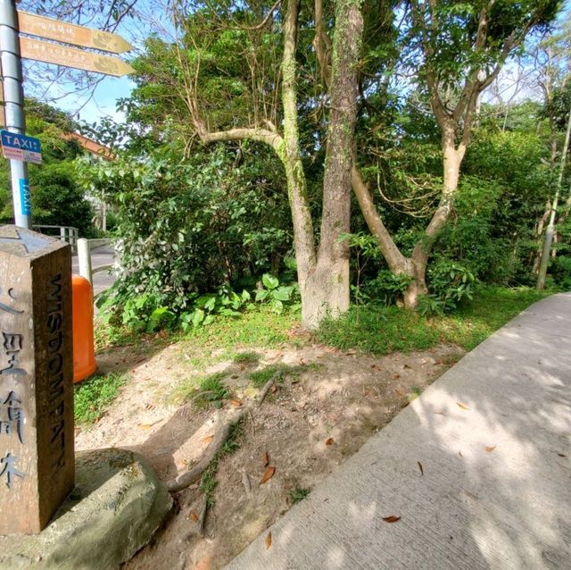 心經簡林🌲🌲
