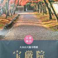 嵐山宝厳院ライトアップ