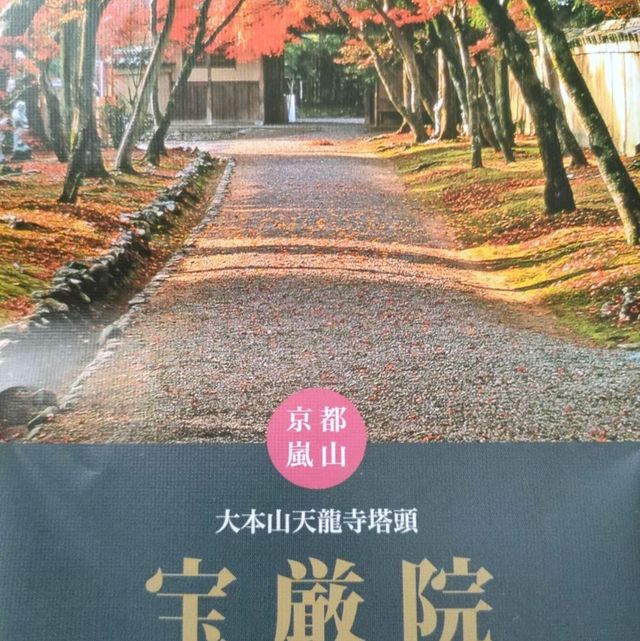 嵐山宝厳院ライトアップ