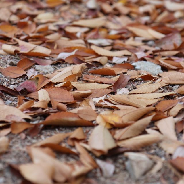 월광수변공원에서 함께 하는 늦은 가을 나들이🍂