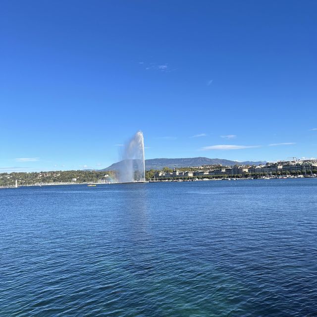 Beautiful Lake Geneva and Jet!