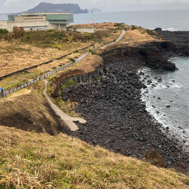 涉地可支
