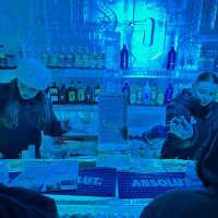 NZ 南島 皇后鎮 Minus 5 ICE Bar 