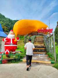 사계절내내 크리스마스인곳, 봉화 분천산타마을🎅🎄