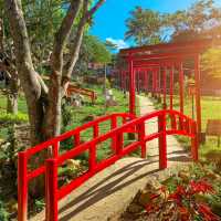 Sachiko’s Little Kyoto
