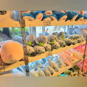 実は配送がお得！【海洋博公園 オキちゃんショップ】 | Trip.com 沖縄市