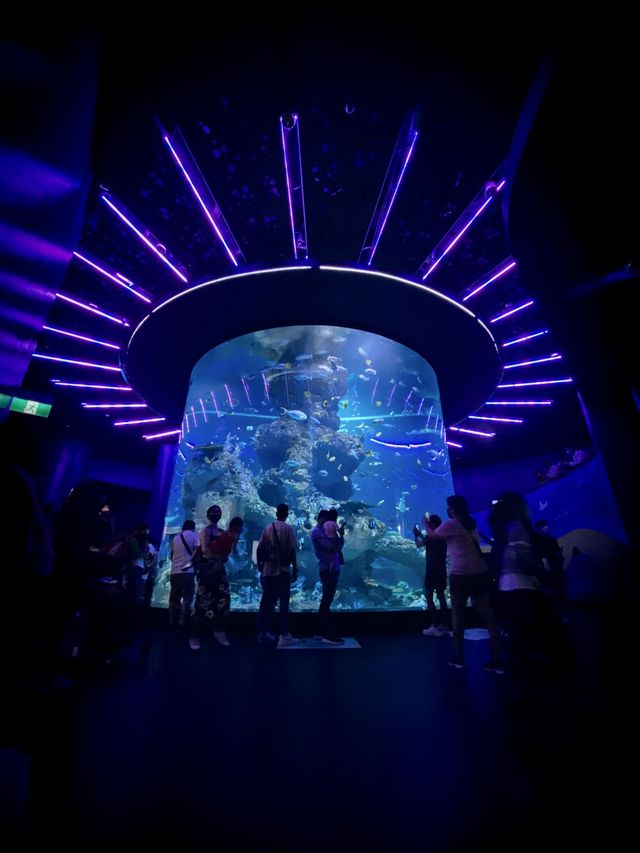 SEA AQUARIUM, SENTOSA, SINGAPORE