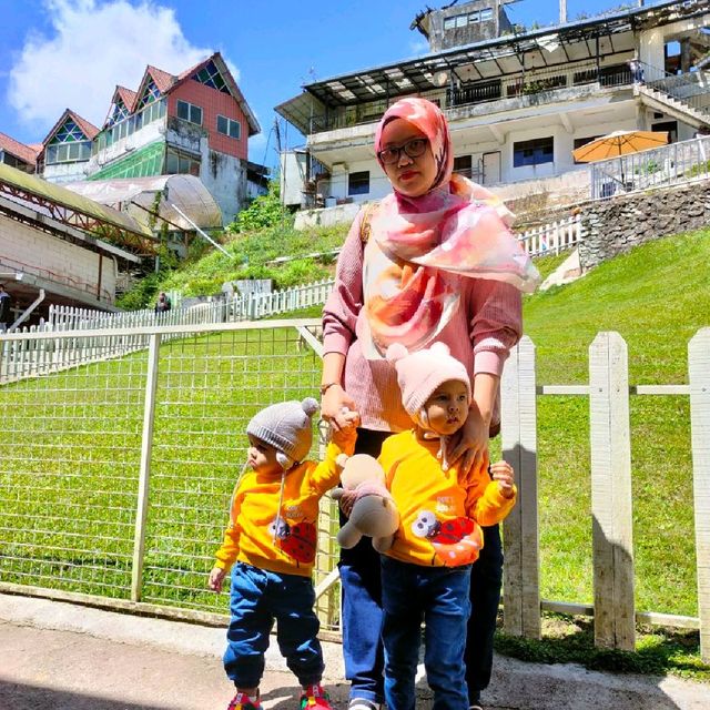 New Sheep Sanctuary at Cameron Highlands