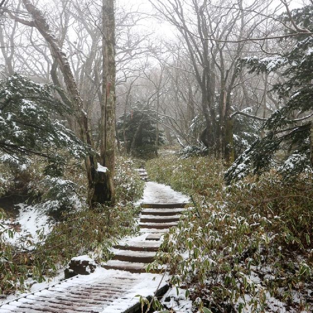 겨울 등산코스 추천 '한라산'