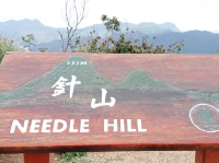 針山