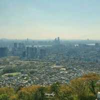 4월의 야생화 , 보러가실래요.
