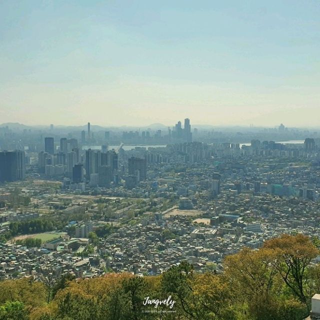 4월의 야생화 , 보러가실래요.