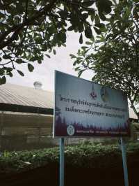 เดินเล่นชมวิวบรรยากาศภูเขาล้อมสวนใจกลางภูเก็ต