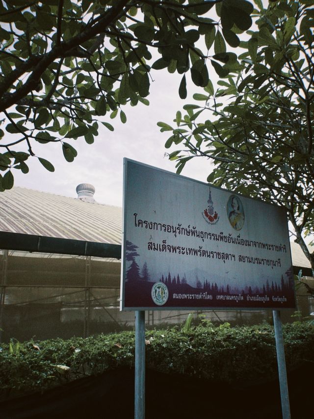 เดินเล่นชมวิวบรรยากาศภูเขาล้อมสวนใจกลางภูเก็ต