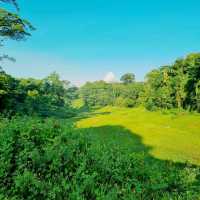 Nature In The Centre Of Singapore