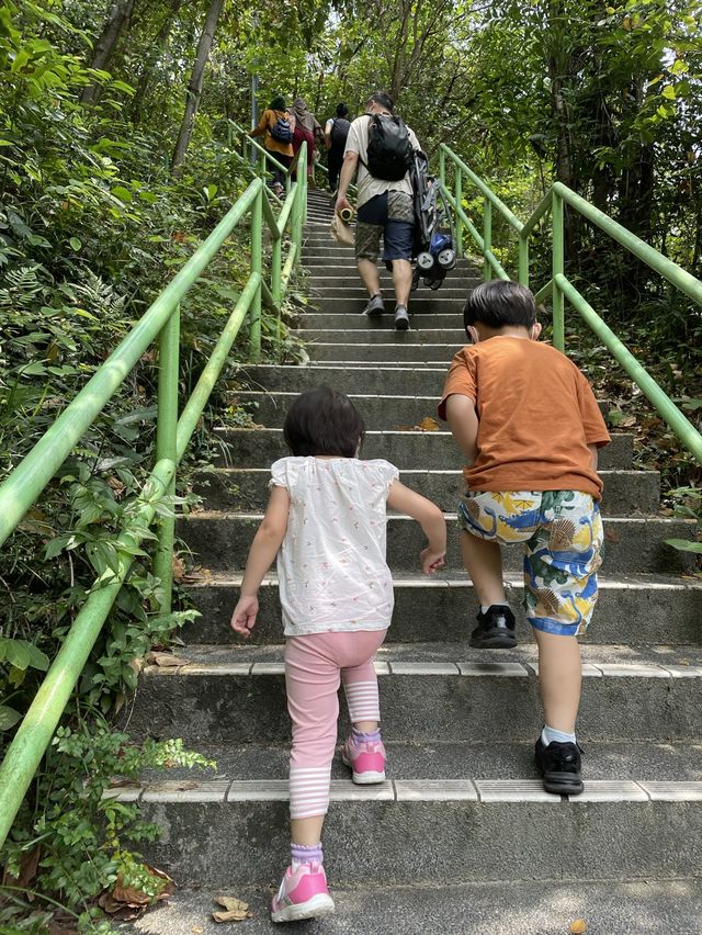 香港的恐龍熱潮